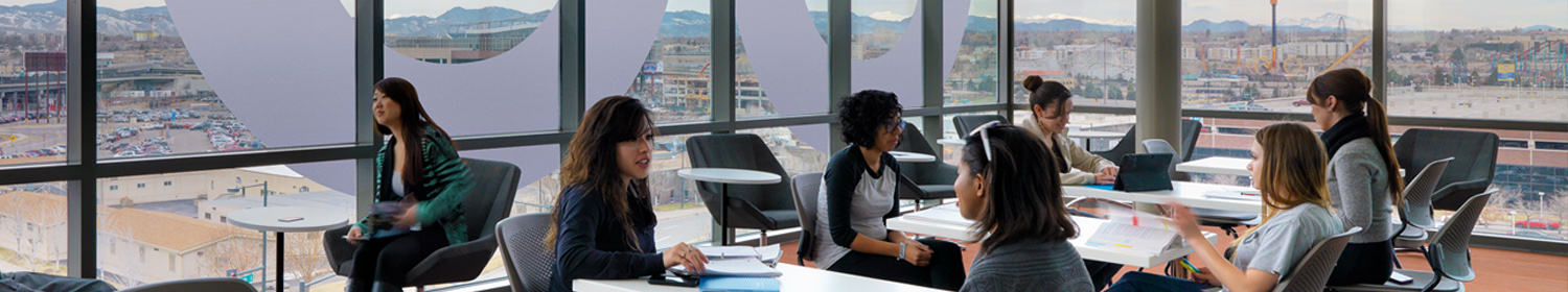 people studying in room with windows